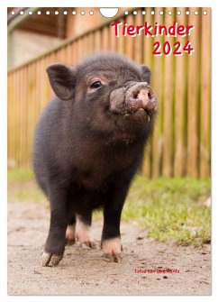 Tierkinder (Wandkalender 2024 DIN A4 hoch), CALVENDO Monatskalender - Kantz, Uwe