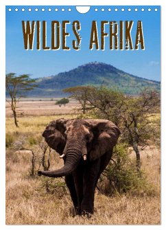 Wildes Afrika (Wandkalender 2024 DIN A4 hoch), CALVENDO Monatskalender