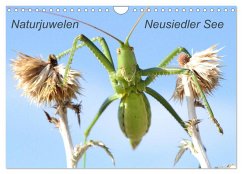 Naturjuwelen - Neusiedler See (Wandkalender 2024 DIN A4 quer), CALVENDO Monatskalender
