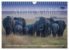Emotionale Momente: Afrika Wildlife. Part 3. / CH-Version (Wandkalender 2024 DIN A4 quer), CALVENDO Monatskalender