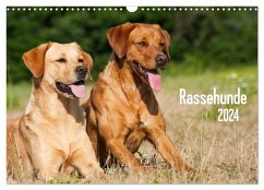 Rassehunde (Wandkalender 2024 DIN A3 quer), CALVENDO Monatskalender