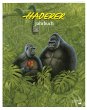 Haderer Jahrbuch - Bild 1
