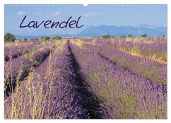 Lavendel (Wandkalender 2024 DIN A2 quer), CALVENDO Monatskalender
