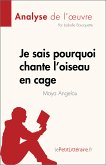 Je sais pourquoi chante l'oiseau en cage de Maya Angelou (Analyse de l'œuvre) (eBook, ePUB)