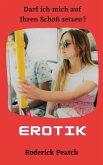 Darf ich mich auf Ihren Schoß setzen? (eBook, ePUB)