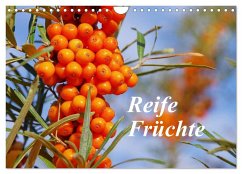 Reife Früchte (Wandkalender 2024 DIN A4 quer), CALVENDO Monatskalender