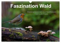 Faszination Wald. Waldimpressionen aus Nordhessen von Lutz Klapp (Wandkalender 2024 DIN A3 quer), CALVENDO Monatskalender