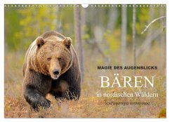 Magie des Augenblicks - Bären in nordischen Wäldern (Wandkalender 2024 DIN A3 quer), CALVENDO Monatskalender