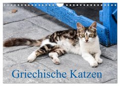 Griechische Katzen (Wandkalender 2024 DIN A4 quer), CALVENDO Monatskalender