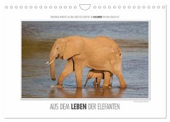 Emotionale Momente: Aus dem Leben der Elefanten. / CH-Version (Wandkalender 2024 DIN A4 quer), CALVENDO Monatskalender