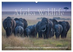Emotionale Momente: Afrika Wildlife. Part 3. / CH-Version (Wandkalender 2024 DIN A2 quer), CALVENDO Monatskalender