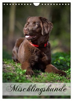 Mischlingshunde (Wandkalender 2024 DIN A4 hoch), CALVENDO Monatskalender