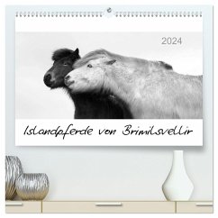 Islandpferde von Brimilsvellir (hochwertiger Premium Wandkalender 2024 DIN A2 quer), Kunstdruck in Hochglanz
