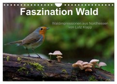 Faszination Wald. Waldimpressionen aus Nordhessen von Lutz Klapp (Wandkalender 2024 DIN A4 quer), CALVENDO Monatskalender