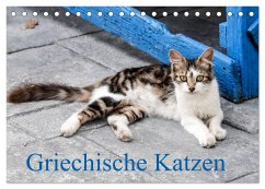 Griechische Katzen (Tischkalender 2024 DIN A5 quer), CALVENDO Monatskalender