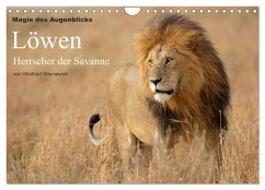 Magie des Augenblicks - Löwen - Herrscher der Savanne (Wandkalender 2024 DIN A4 quer), CALVENDO Monatskalender