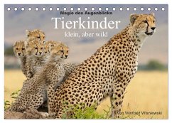 Magie des Augenblicks - Tierkinder - klein, aber wild (Tischkalender 2024 DIN A5 quer), CALVENDO Monatskalender