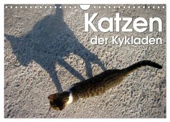 Katzen der Kykladen (Wandkalender 2024 DIN A4 quer), CALVENDO Monatskalender - Kraemer, Silvia