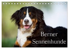 Berner Sennenhunde (Tischkalender 2024 DIN A5 quer), CALVENDO Monatskalender - Noack, Nicole