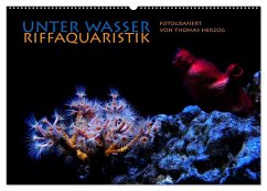 UNTER WASSER Riffaquaristik (Wandkalender 2024 DIN A2 quer), CALVENDO Monatskalender