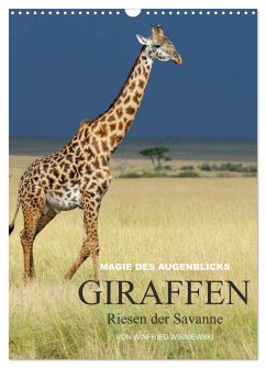 Magie des Augenblicks - Giraffen - Riesen der Savanne (Wandkalender 2024 DIN A3 hoch), CALVENDO Monatskalender - Wisniewski, Winfried