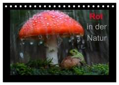 Rot in der Natur (Tischkalender 2024 DIN A5 quer), CALVENDO Monatskalender