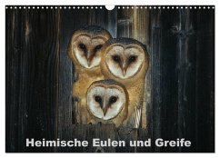 Heimische Eulen und Greife (Wandkalender 2024 DIN A3 quer), CALVENDO Monatskalender - Bachmeier, Günter