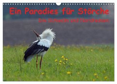 Ein Paradies für Störche (Wandkalender 2024 DIN A3 quer), CALVENDO Monatskalender - Klapp, Lutz