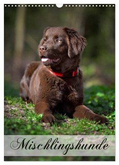 Mischlingshunde (Wandkalender 2024 DIN A3 hoch), CALVENDO Monatskalender - Noack, Nicole