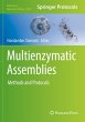 Multienzymatic Assemblies - Bild 1