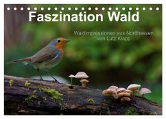 Faszination Wald. Waldimpressionen aus Nordhessen von Lutz Klapp (Tischkalender 2024 DIN A5 quer), CALVENDO Monatskalender - Klapp, Lutz