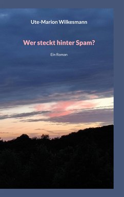 Wer steckt hinter Spam (eBook, ePUB)