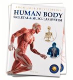 Human Body