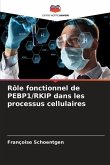 Rôle fonctionnel de PEBP1/RKIP dans les processus cellulaires