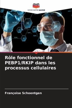 Rôle fonctionnel de PEBP1/RKIP dans les processus cellulaires - Schoentgen, Françoise