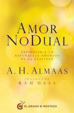 Cover Amor No Dual