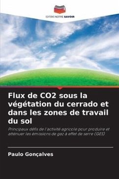 Flux de CO2 sous la végétation du cerrado et dans les zones de travail du sol - Gonçalves, Paulo