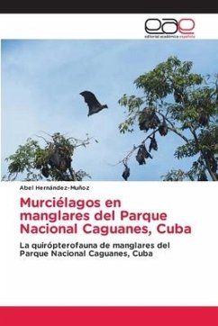 Murciélagos en manglares del Parque Nacional Caguanes, Cuba - Hernández-Muñoz, Abel