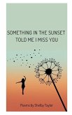 Something in the Sunset Told Me I Miss You