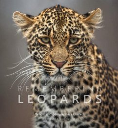 Remembering Leopards