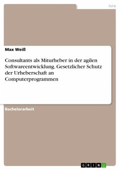 Consultants als Miturheber in der agilen Softwareentwicklung. Gesetzlicher Schutz der Urheberschaft an Computerprogrammen