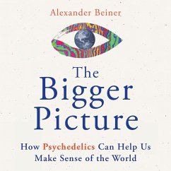 The Bigger Picture (MP3-Download) - Beiner, Alexander