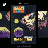 Negor in Not (MP3-Download)