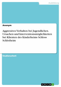 Aggressives Verhalten bei Jugendlichen. Ursachen und Interventionsmöglichkeiten bei Klienten des Kinderheims Schloss Schlotheim (eBook, PDF)