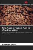 Shortage of wood fuel in Chadian cities