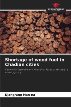Shortage of wood fuel in Chadian cities - Man-na, Djangrang