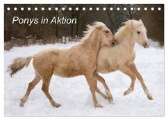 Ponys in Aktion (Tischkalender 2024 DIN A5 quer), CALVENDO Monatskalender