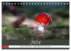 Waldpilz-Impressionen (Tischkalender 2024 DIN A5 quer), CALVENDO Monatskalender