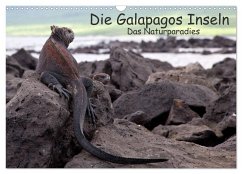 Die Galapagos Inseln - Das Naturparadies (Wandkalender 2024 DIN A3 quer), CALVENDO Monatskalender