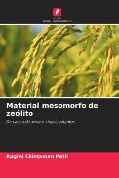 Material mesomorfo de zeólito Cover Material mesomorfo de zeólito